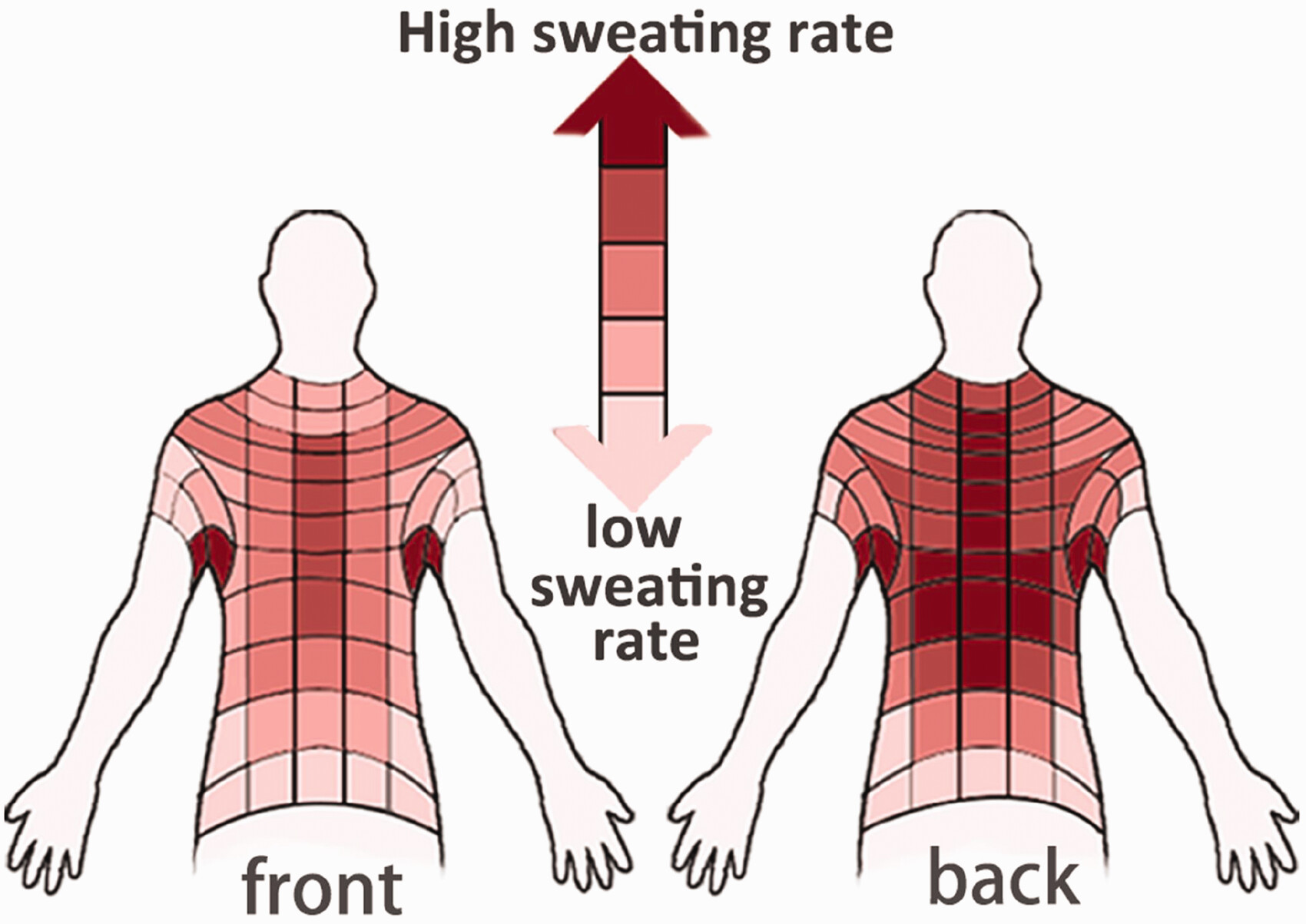 Sweat zone data visualization