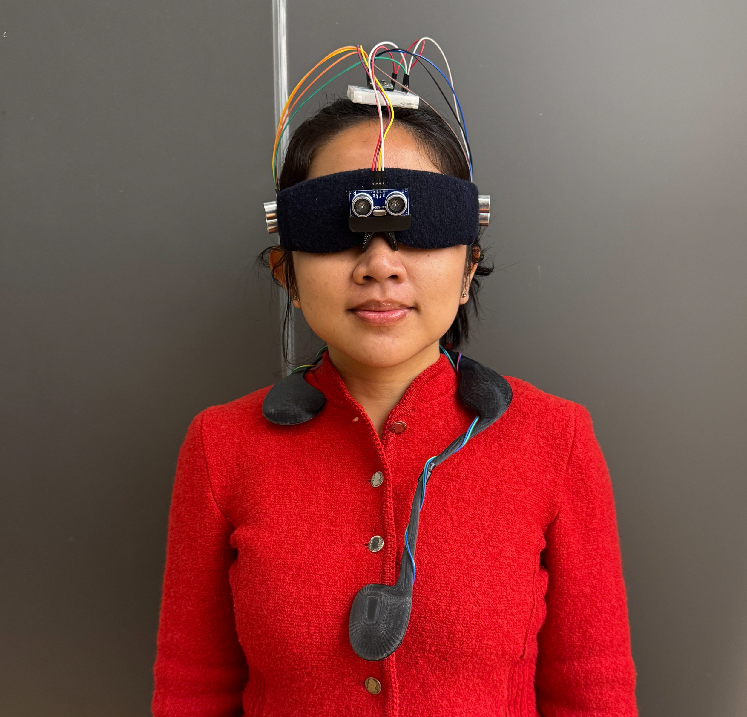 BuzzFinder final assembled device