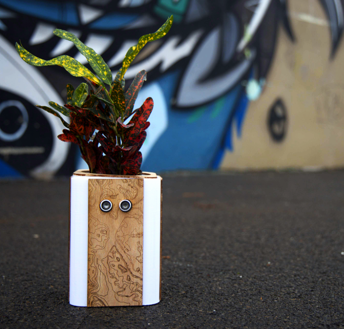 Model documentation 1