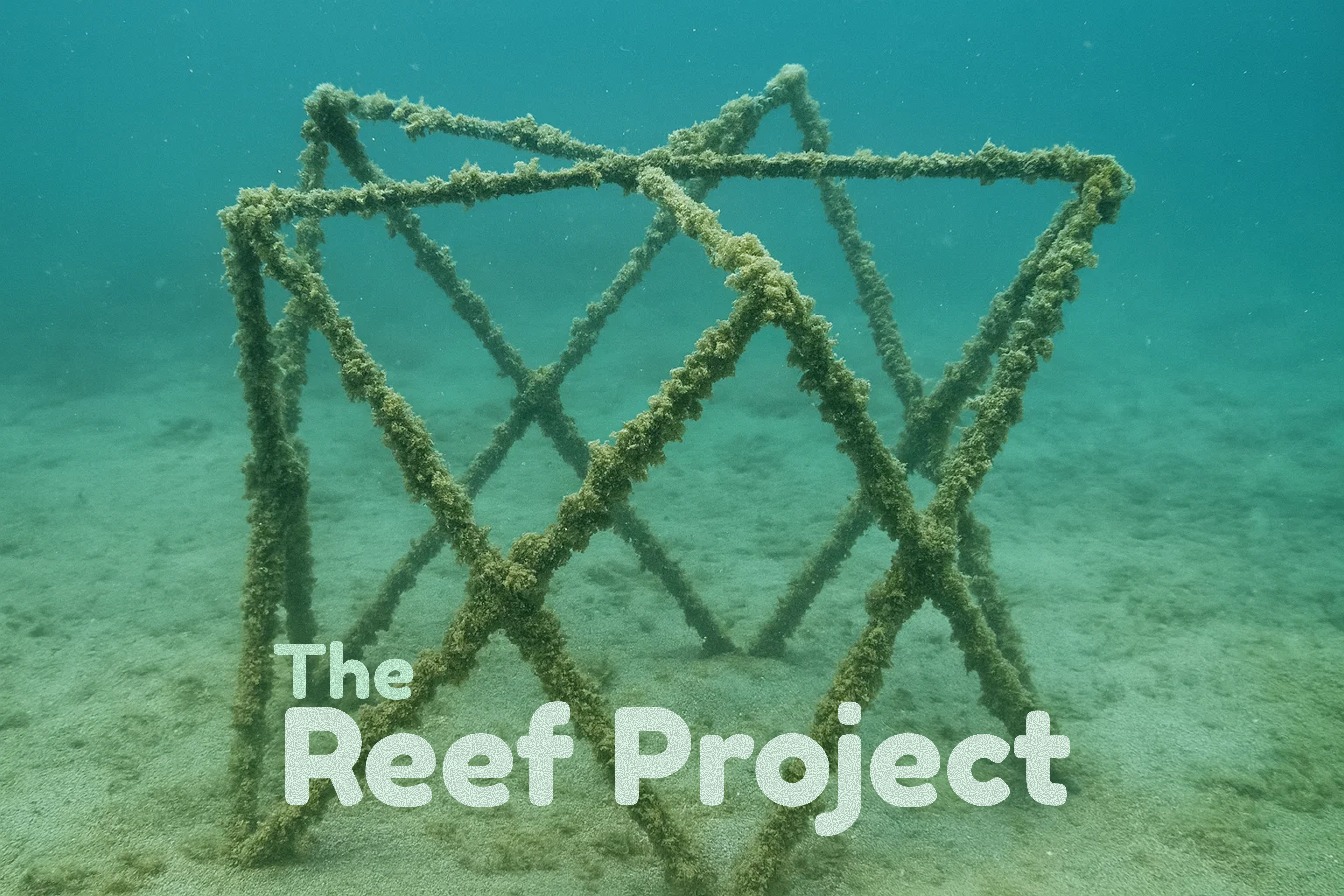 Reef Project